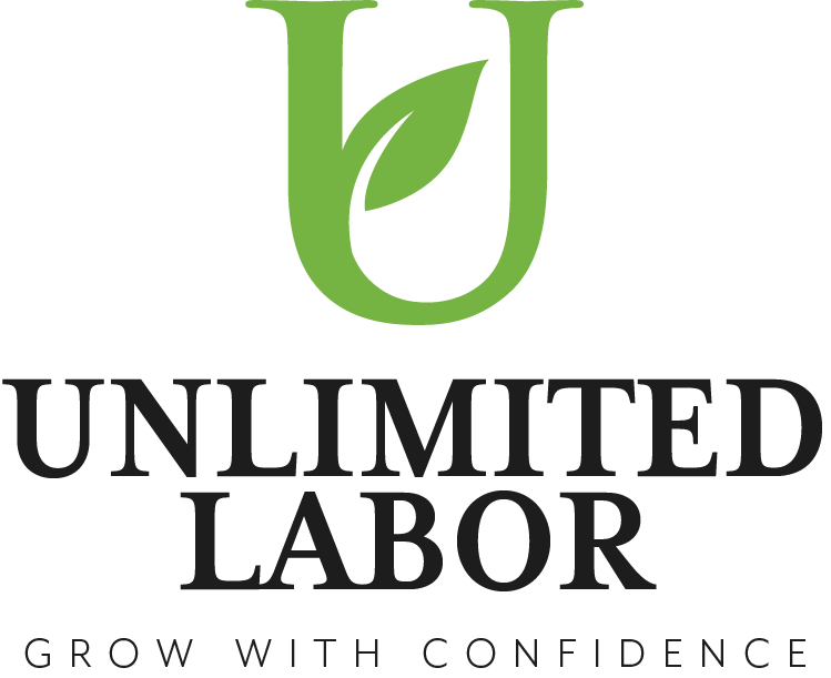 Unlimited Labor Solutions H2b to Perm Status
