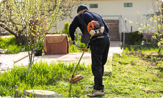 H-2B (Non-Ag) Strategic Support.